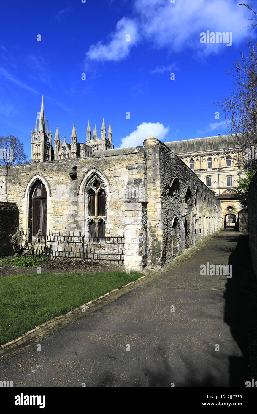 The Cathedral Cloisters and South Elevation of Peterborough City ...
