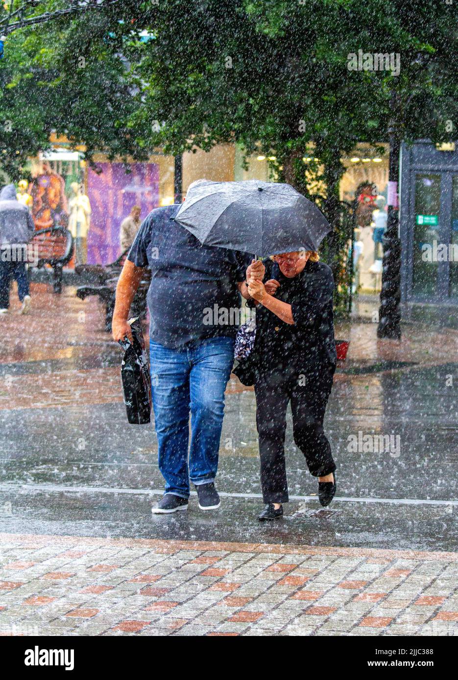 Don'T Be Caught Off Guard: Chicagoland'S Humidity & Shower Forecast - wz19sdt
