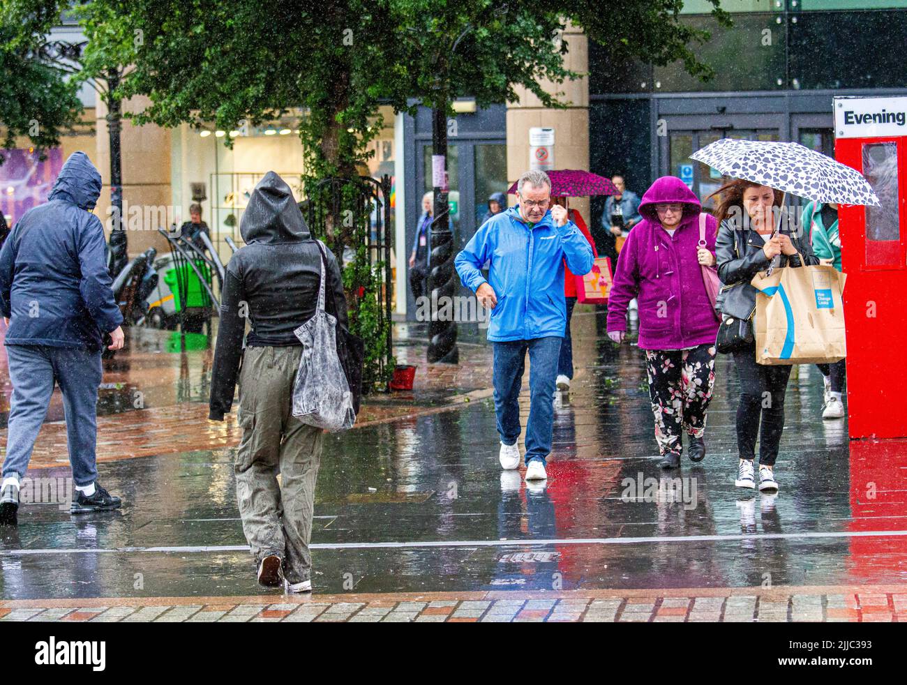 Don'T Be Caught Off Guard: Chicagoland'S Humidity & Shower Forecast - r5kxelw