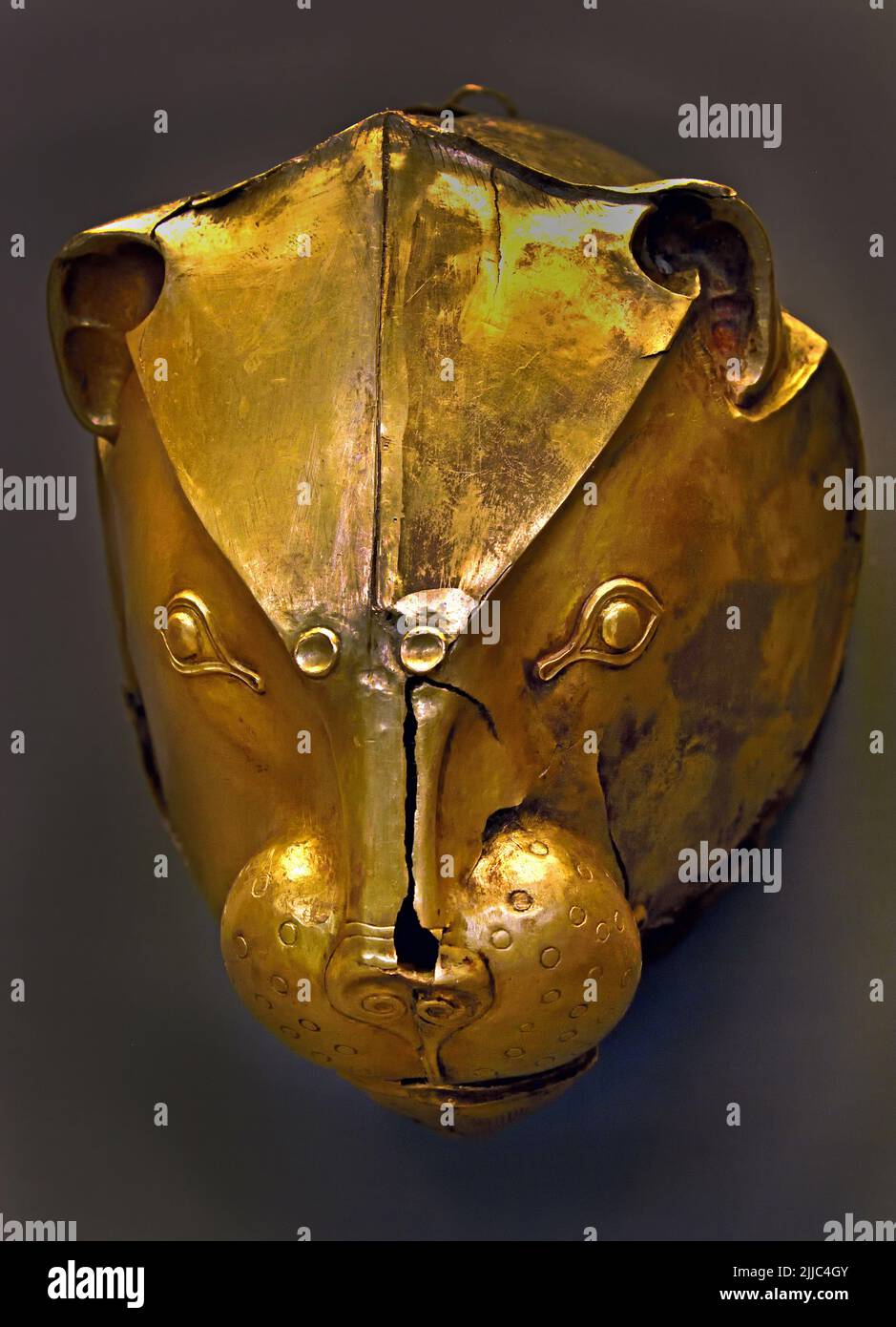 Gold rhyton made of hammered sheet metal in the shape of a lion’s head. Mycenae, Grave Circle A, Grave IV, 16th cent. BC, Mycenaean Greece , Mycenaean civilization, Bronze Age in Ancient Greece 1750 to 1050 BC, Mycenae, National Archaeological Museum in Athens. Stock Photo