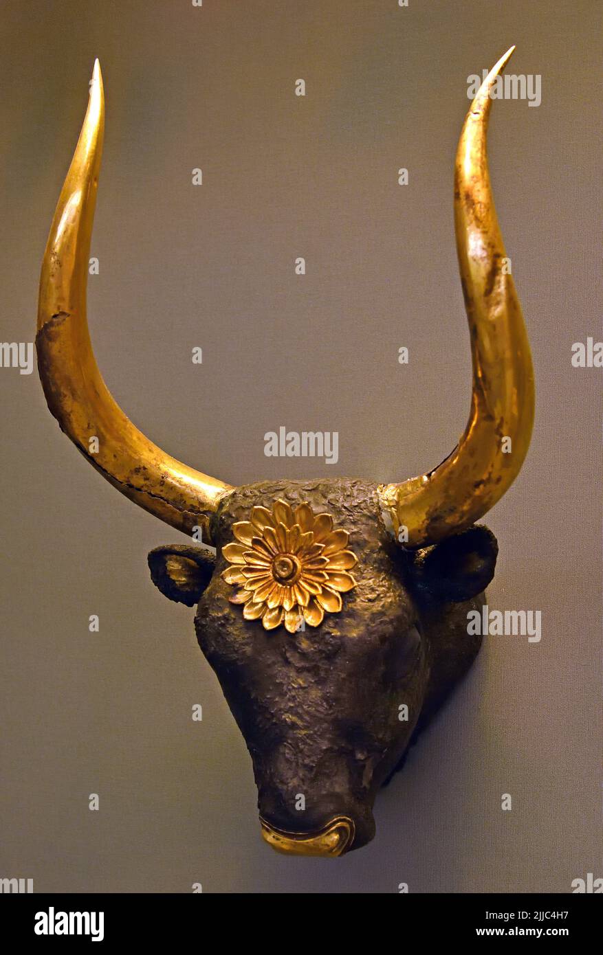 Silver repoussé rhyton with gold horns, from Grave Circle A at Mycenae, 16th century B Mycenaean Greece , Mycenaean civilization, Bronze Age in Ancient Greece 1750 to 1050 BC, Mycenae, National Archaeological Museum in Athens. Stock Photo