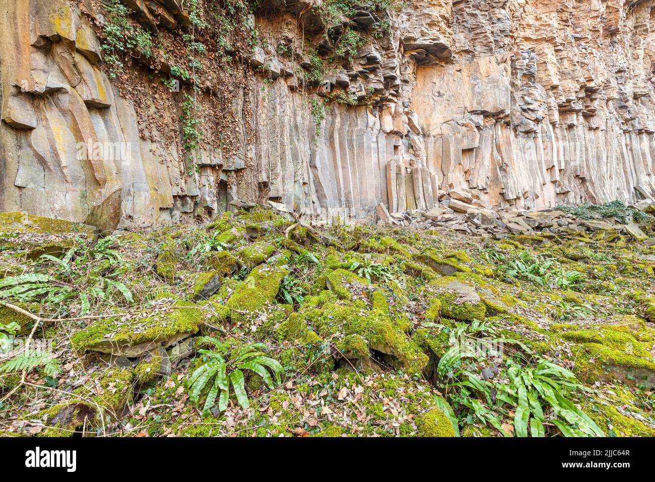 Basaltic columns in Sant Joan Les Fonts, Natural Park of the Volcanic area La Garrotxa, Girona, Spain Stock Photo