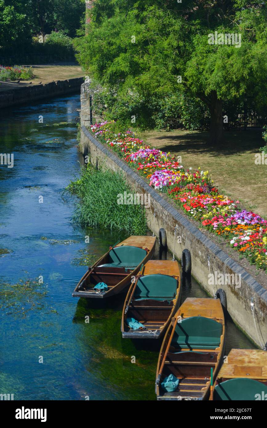Punting boats in a canal of Stour river in Canterbury in a sunny spring day. Kent, England, UK Stock Photo