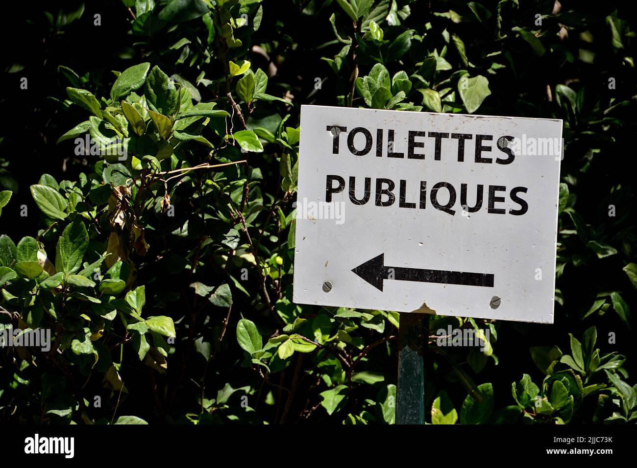 A sign indicating public toilets is seen at Parc Borély Stock Photo - Alamy