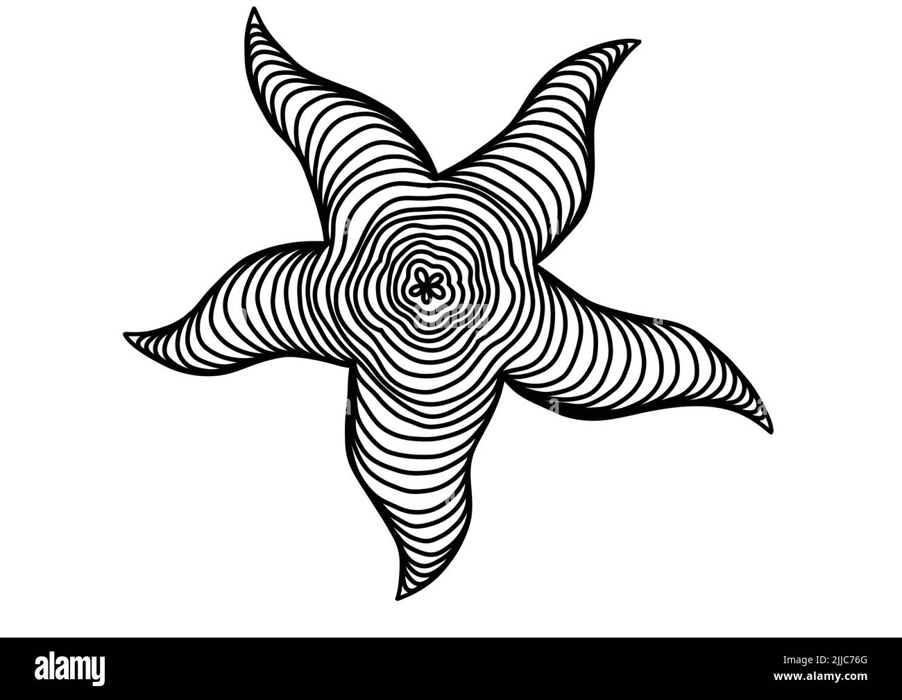 A Black and white line art  drawing of a star fish for background, logo and other illustration needs Stock Photo