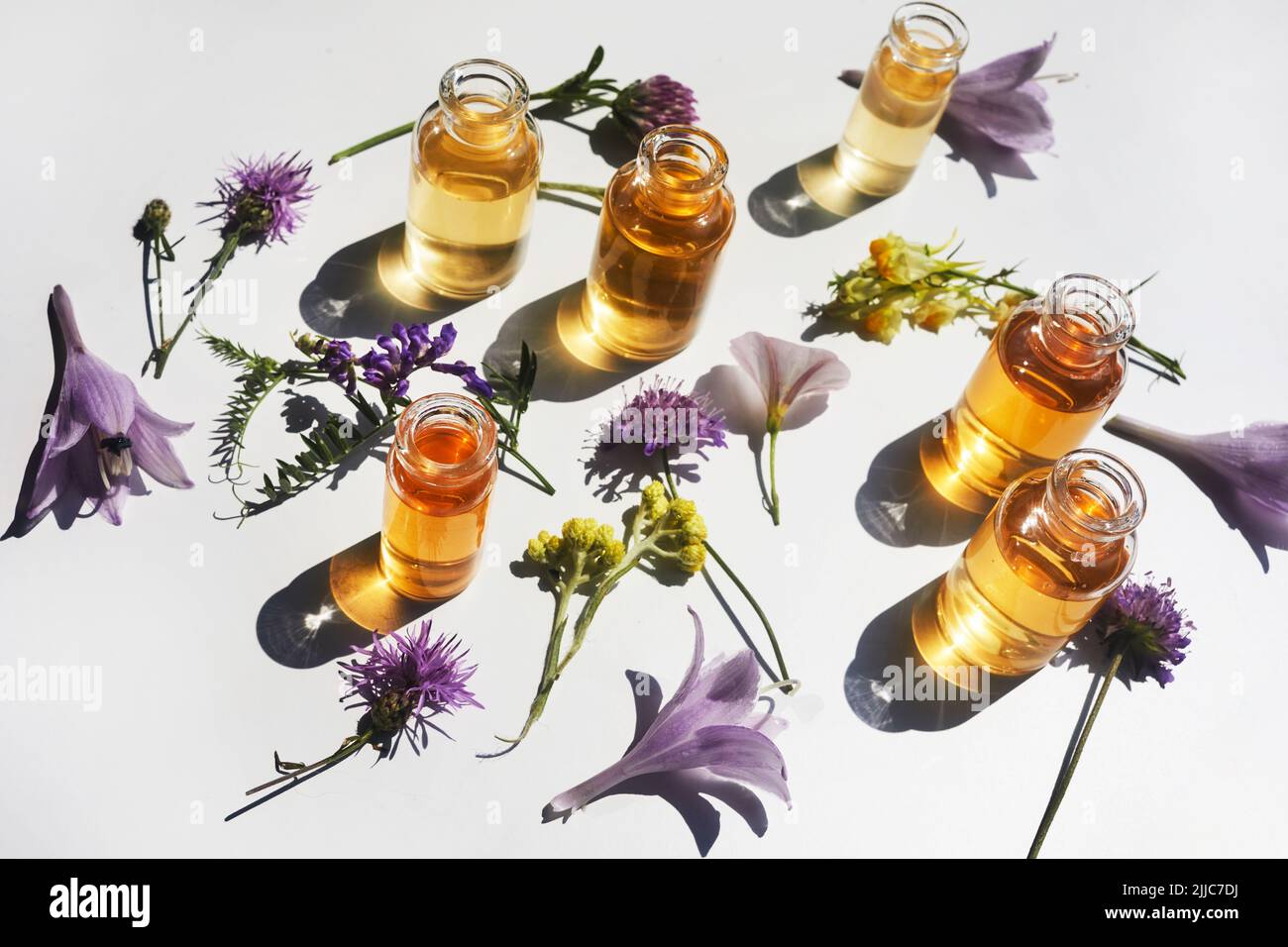 Selection of essential oils, with herbs and flowers on white background. Top view Stock Photo