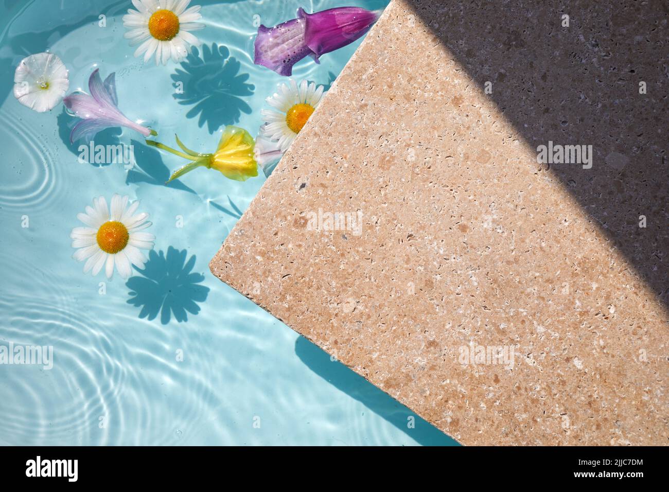 Product promotion Beauty cosmetic showcase. Travertine stone display with flowers in water. Stock Photo