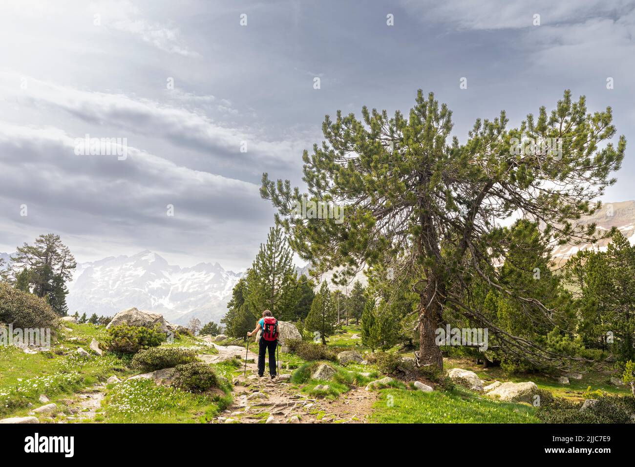 Hiking towards Plan de Aiguallut, Valle de Benasque, Natural Park of Posets-Maladeta, Huesca, Spain Stock Photo