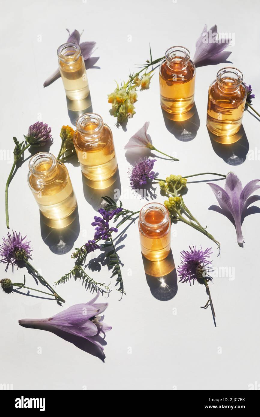 Selection of essential oils, with herbs and flowers on white background. Top view Stock Photo