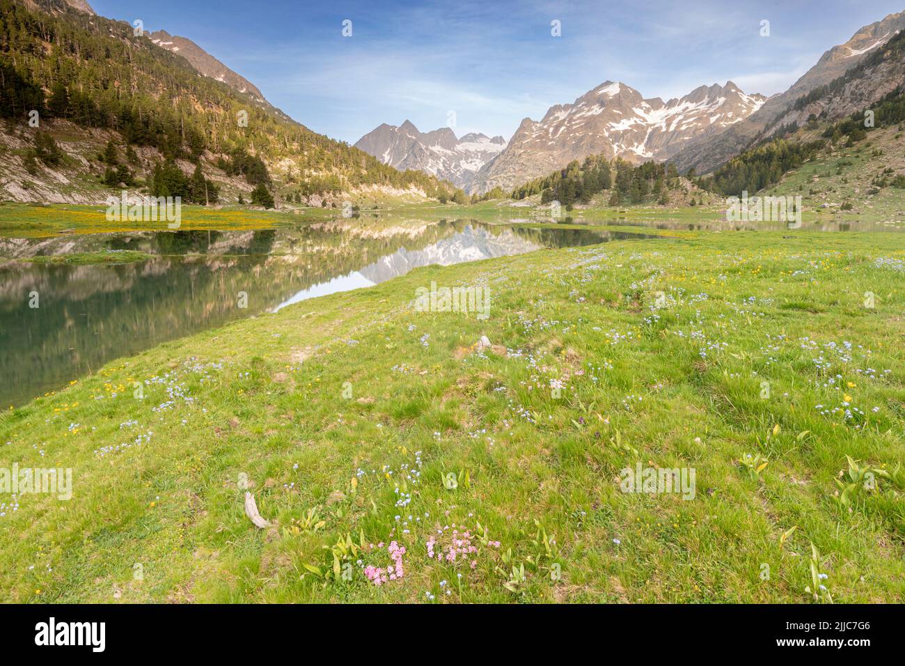 Plan d'Estan, Benasque valley, Natural Park Posets Maladeta, Huesca, Spain Stock Photo