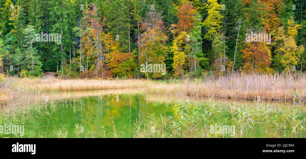 panoramic landscape with lake and forest at autumn Stock Photo
