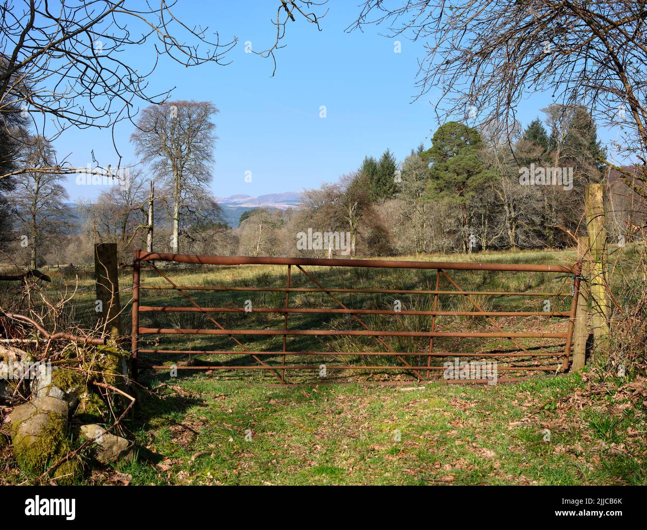 A rusting 5 bar gate leads into rush covered grazing pasture  on the west coast of Scotland. Argyll Stock Photo