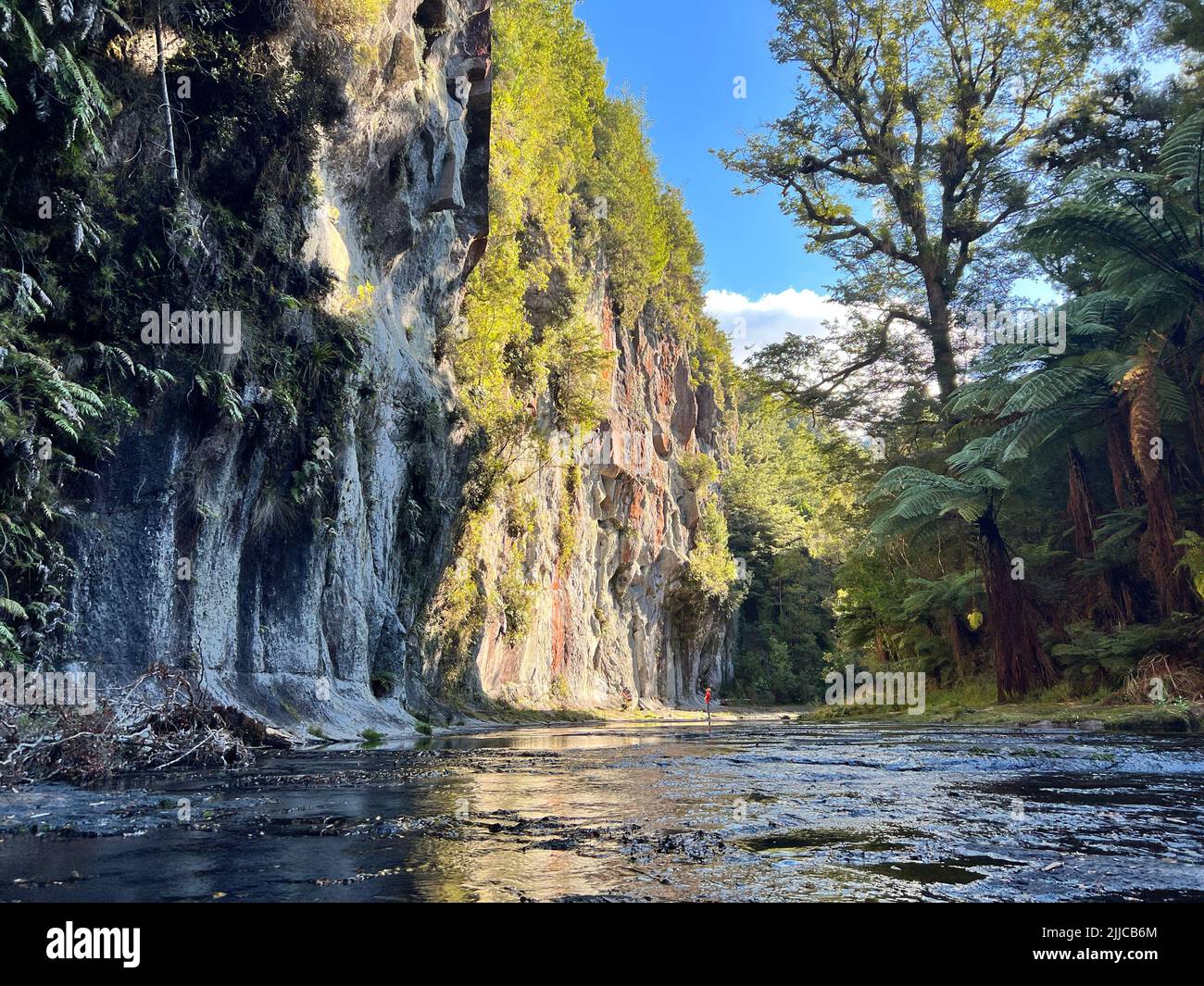 A scenic view of a river flowing near rocks covered with shrubs and ...