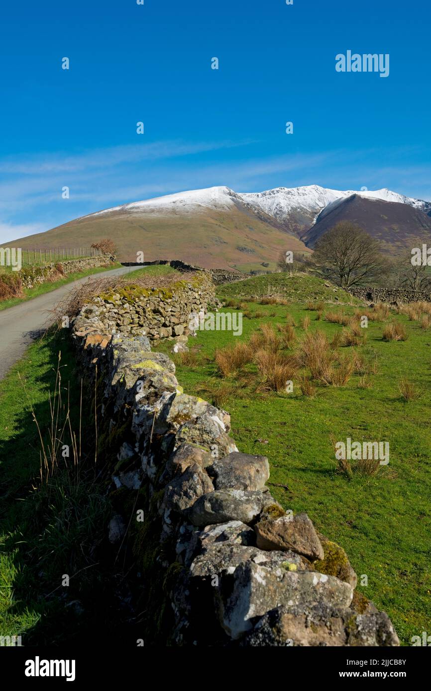 View along dry stone wall walls walling fells towards snow topped Blencathra in spring late winter Lake District National Park Cumbria England UK Stock Photo