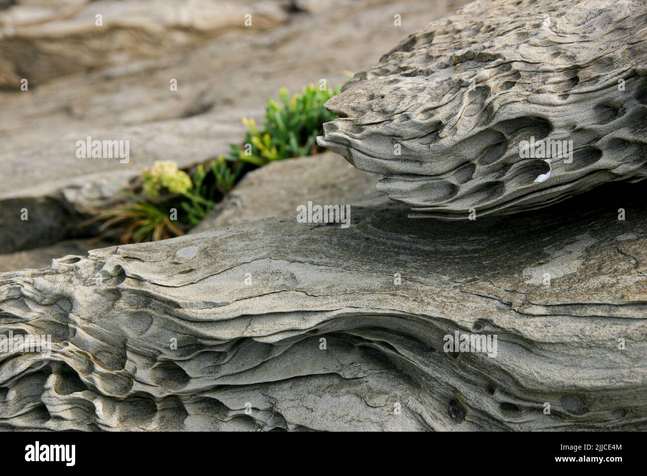 Bizarrely weathered rocks on a beach near Zarautz in Northern Spain Stock Photo