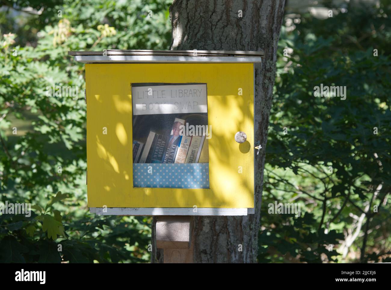 Little library - a mini library, streetside on Cape Cod, Massachusetts, USA Stock Photo