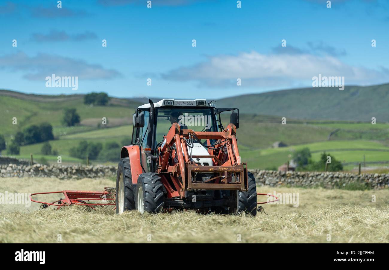 Spreading grass to make hay in a traditional Dales hay meadow, Hawes