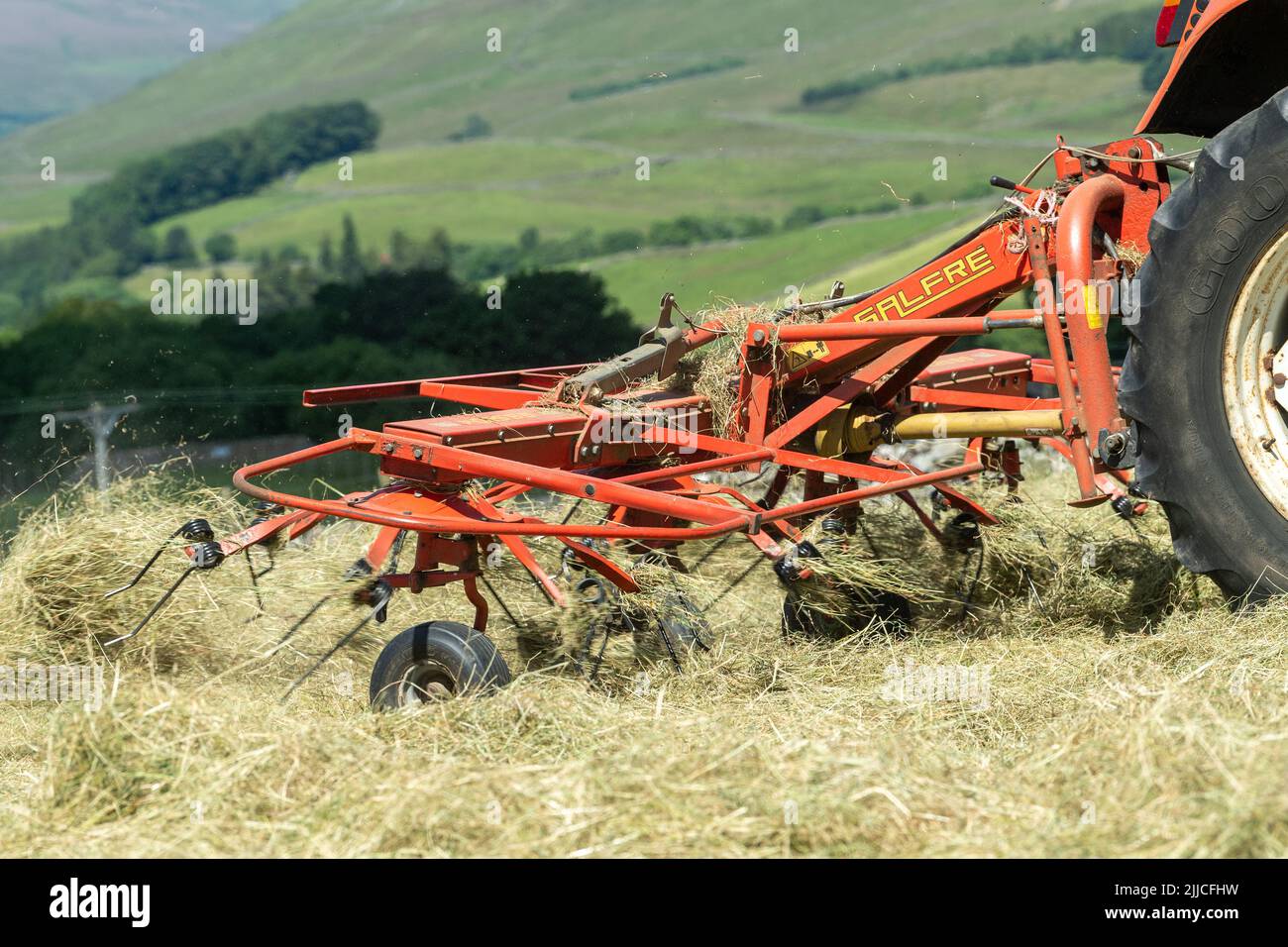 Spreading grass to make hay in a traditional Dales hay meadow, Hawes