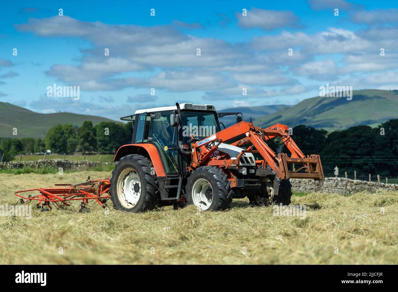 Spreading grass to make hay in a traditional Dales hay meadow, Hawes