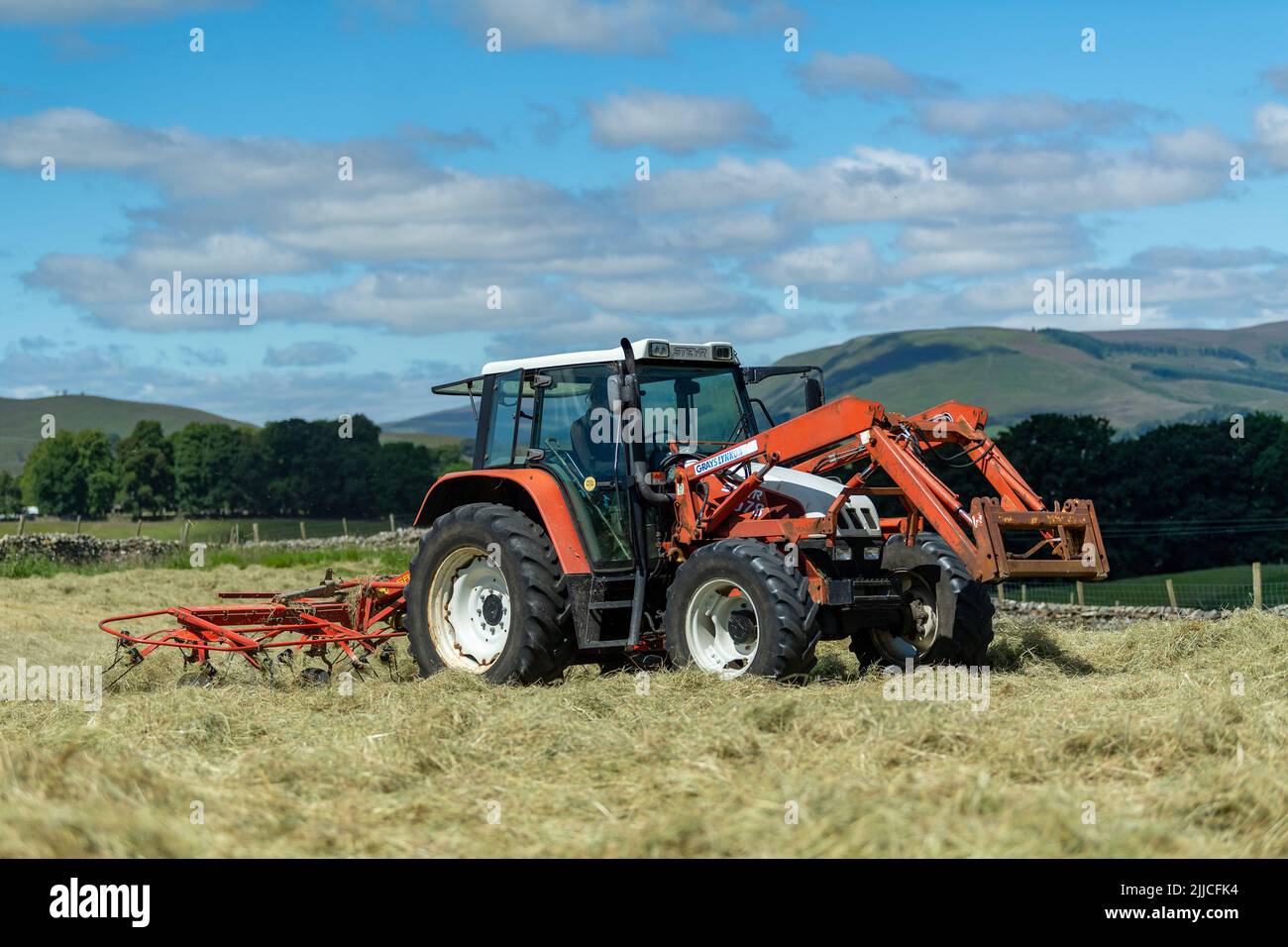 Spreading grass to make hay in a traditional Dales hay meadow, Hawes