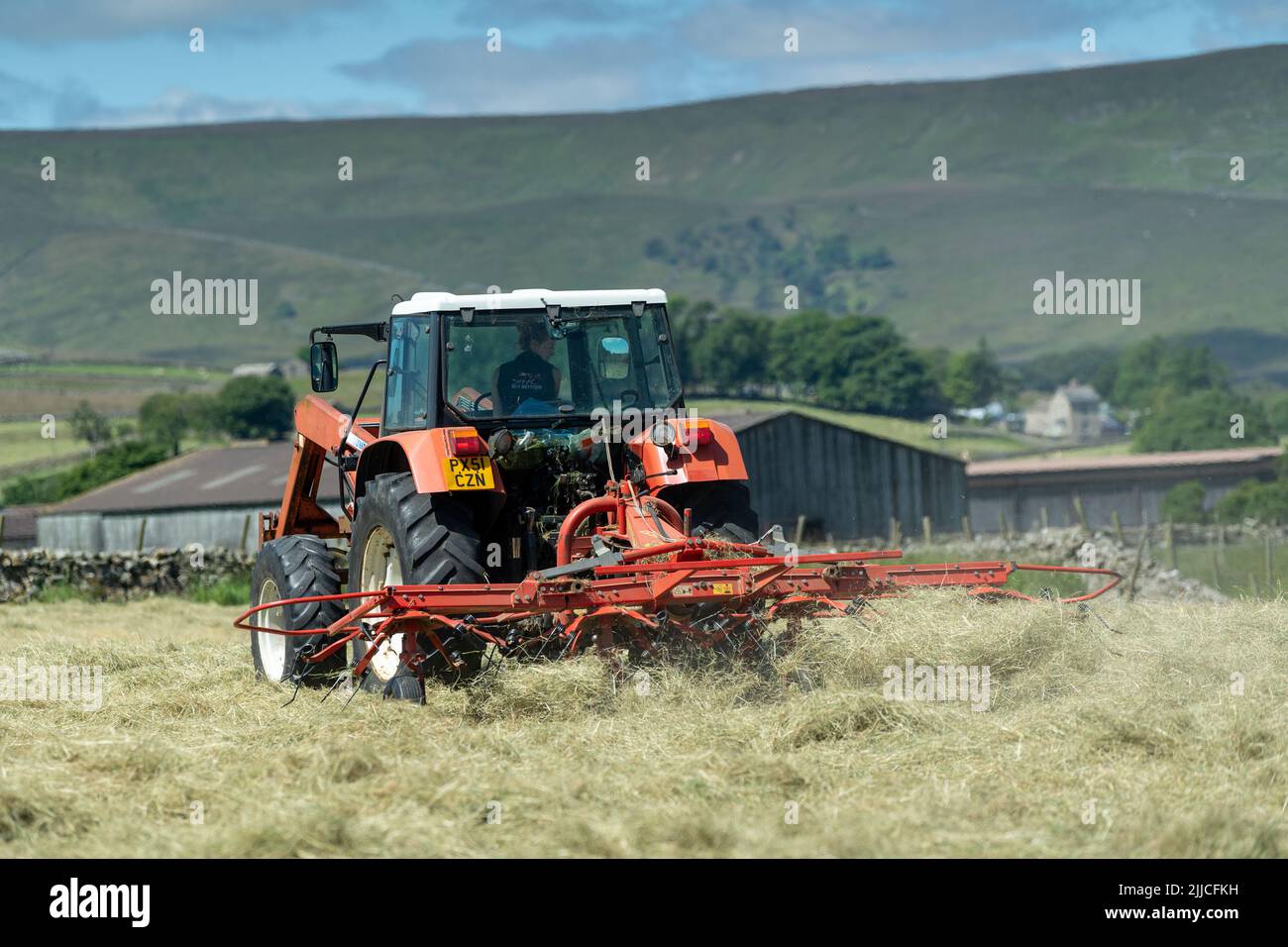 Spreading grass to make hay in a traditional Dales hay meadow, Hawes