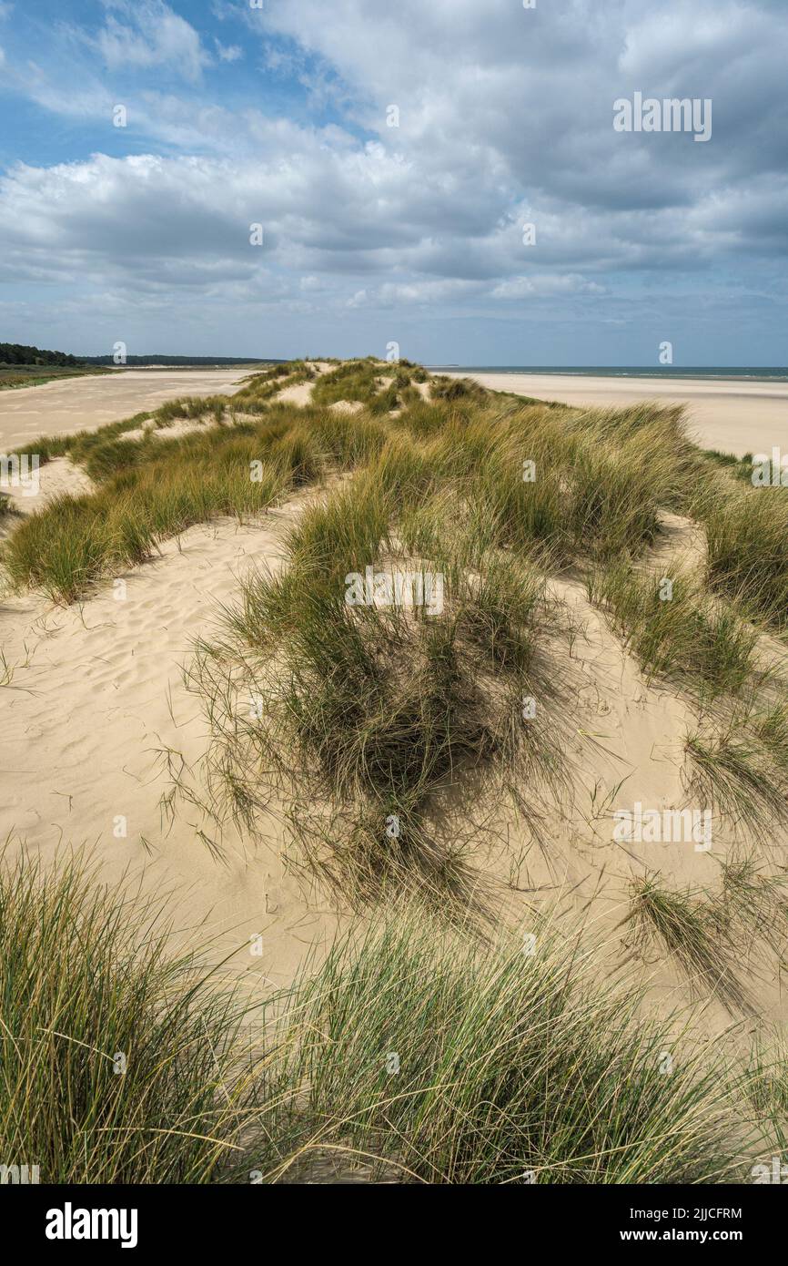 Sand dunes on Holkham Beach, Norfolk Stock Photo