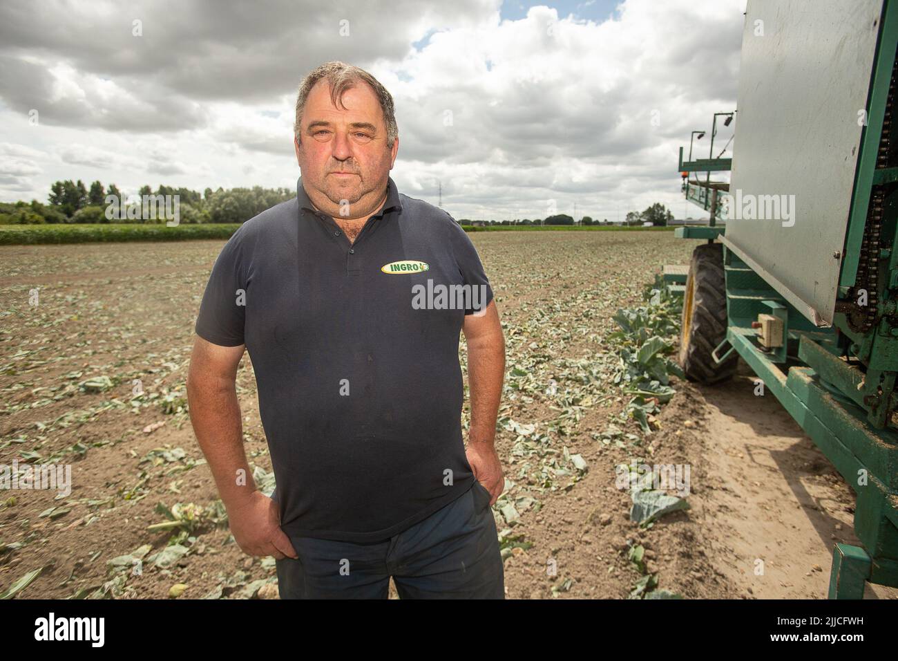 Johan Vanneste pictured in the cauliflowers field that he destroyed at