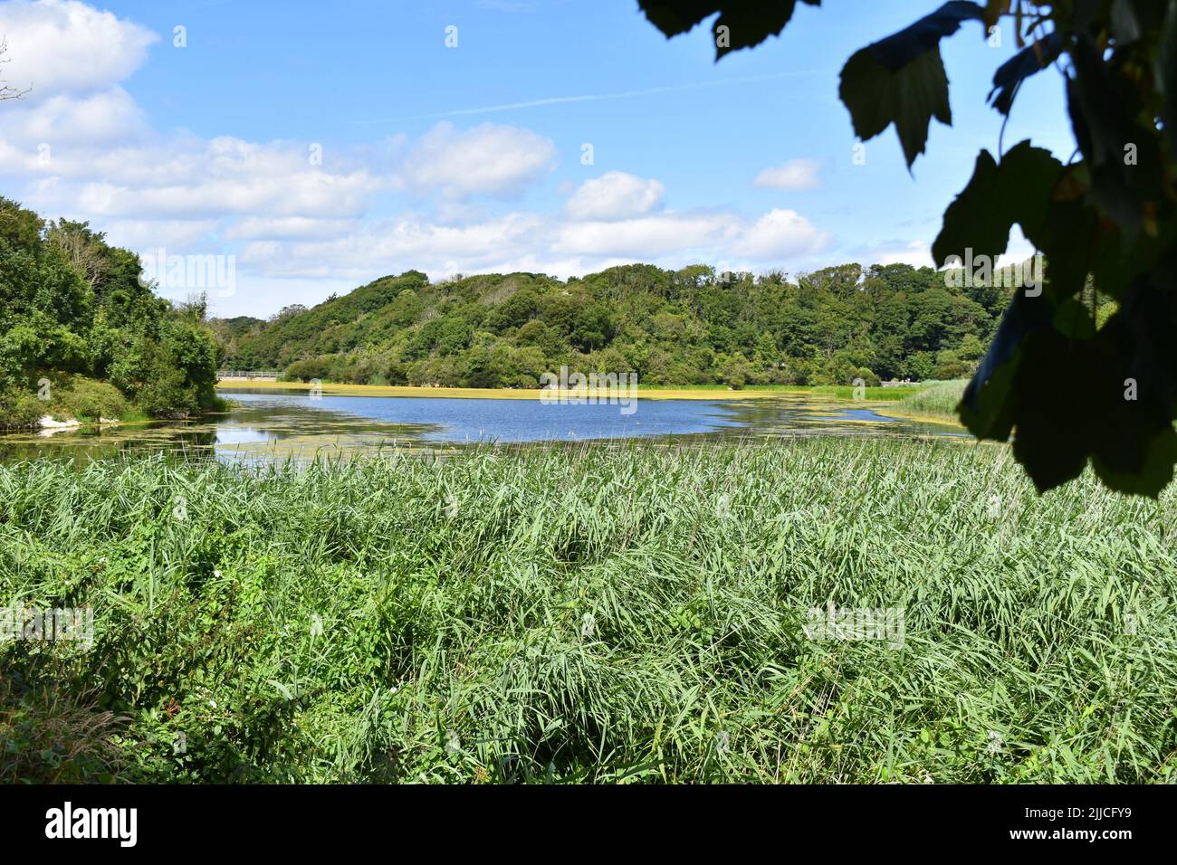 Mesotrophic lakes hi-res stock photography and images - Alamy