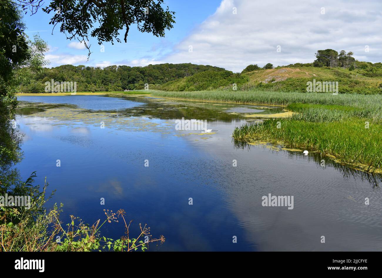 Lakes and freshwater lakes hi-res stock photography and images - Alamy