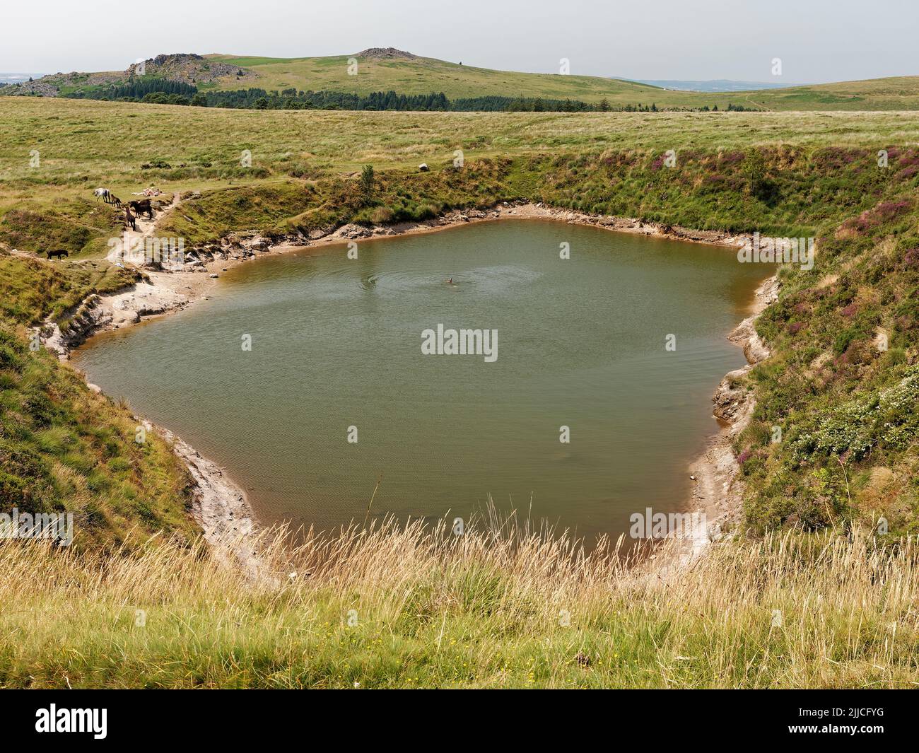 Bottomless pool hi-res stock photography and images - Alamy