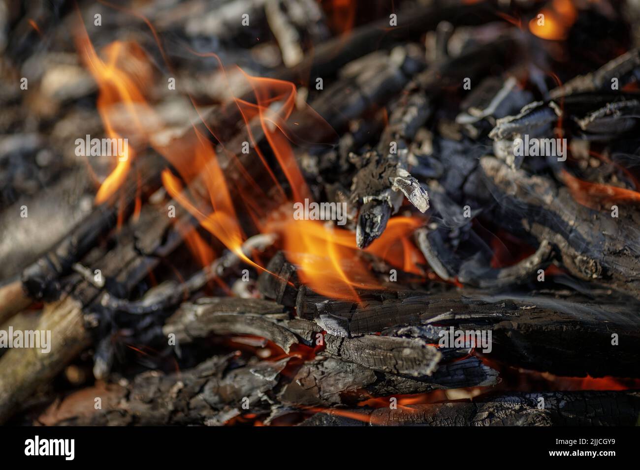 Close up of burning timber bonfire in summer forest. The concept of ...
