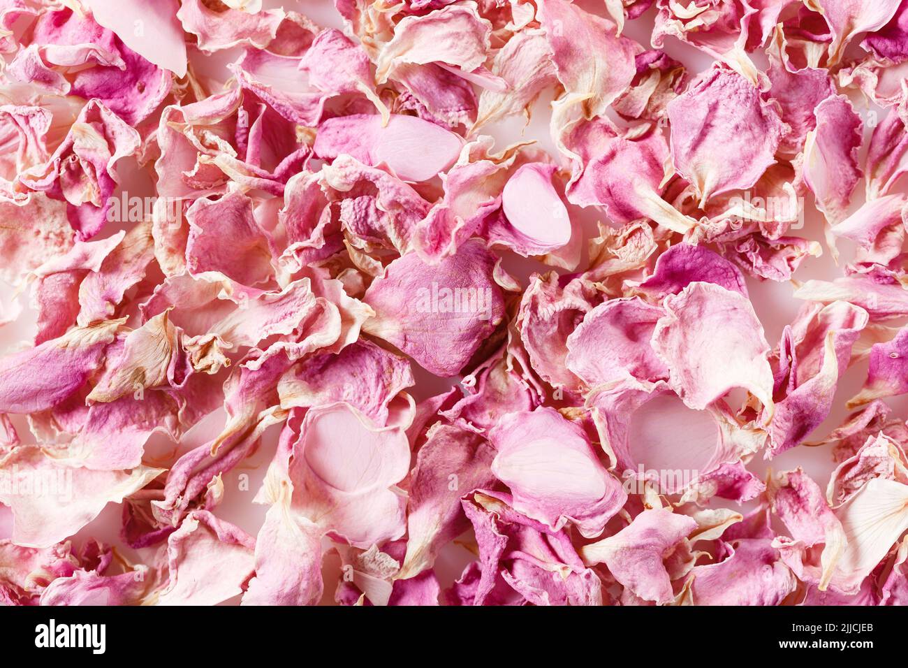 Background made of dried red rose petals isolated on white. Natural herbal cosmetics. Top view. Stock Photo