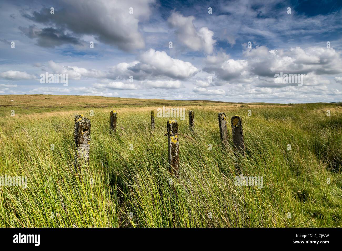 Concrete safety fence posts in a circle on Denbighshire moors North Wales between Llyn Aled isaf and Llyn Aled Stock Photo