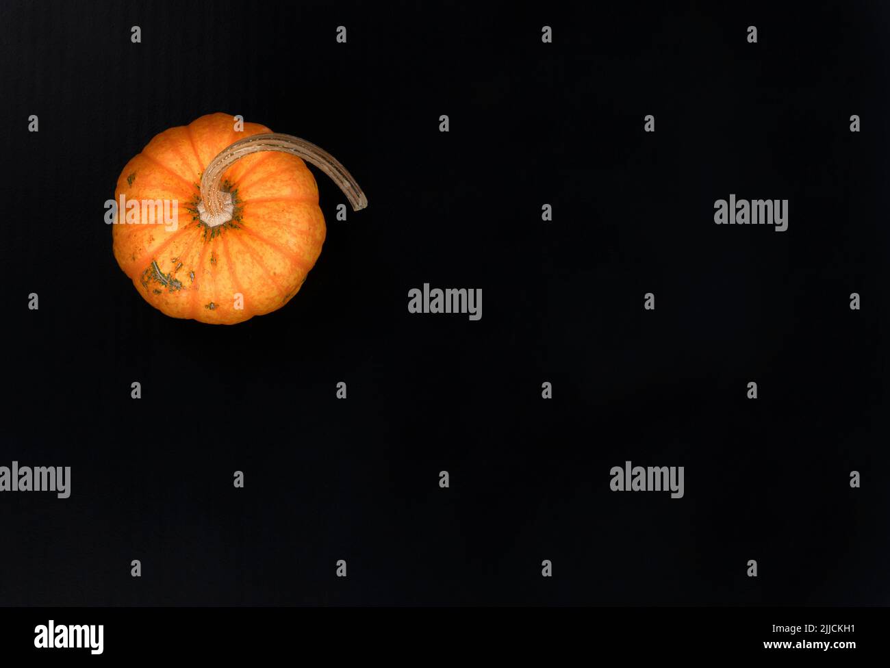 Thanksgiving or Halloween holiday background with pumpkin on dark stone setting Stock Photo