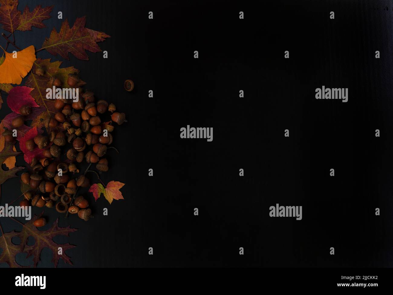 Thanksgiving or Halloween holiday background with autumn leaves and acorn decorations on dark stone setting Stock Photo