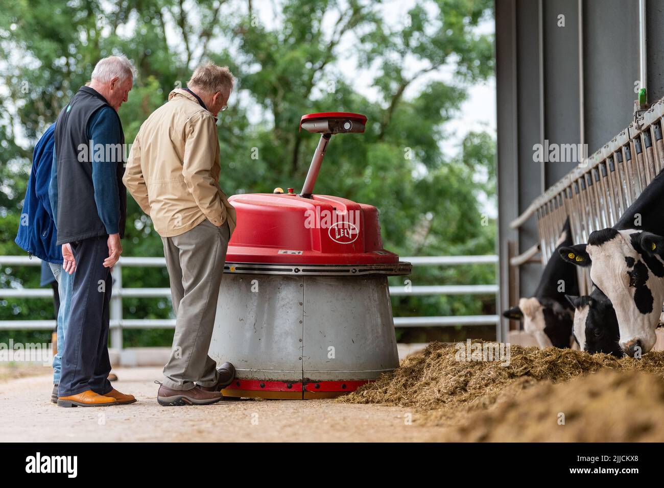 Group of farmers watching a robot push silage up so dairy cattle can eat better. Dumfries, UK. Stock Photo