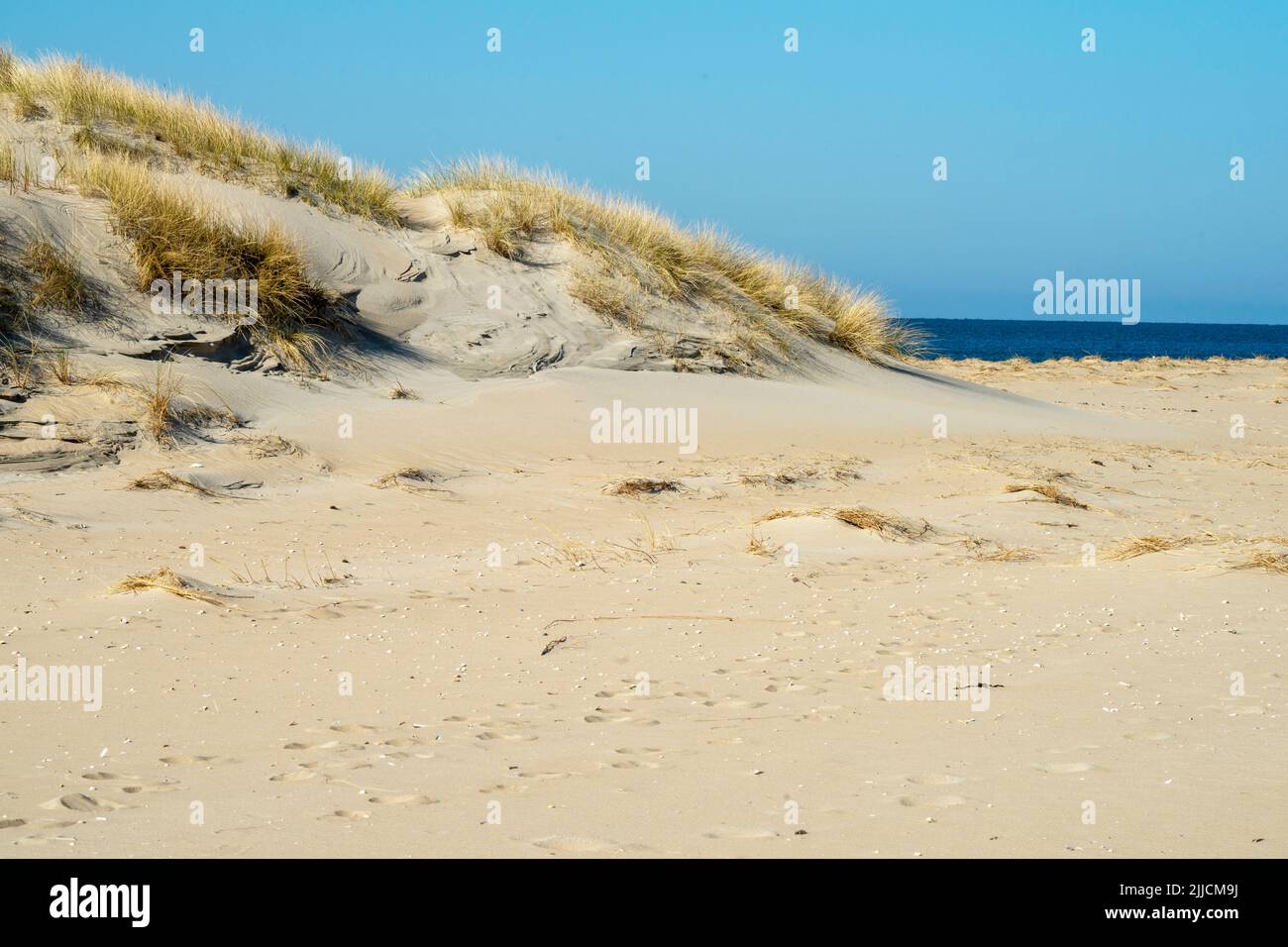 Sand dunes on the island of Rømø in Denmark Stock Photo