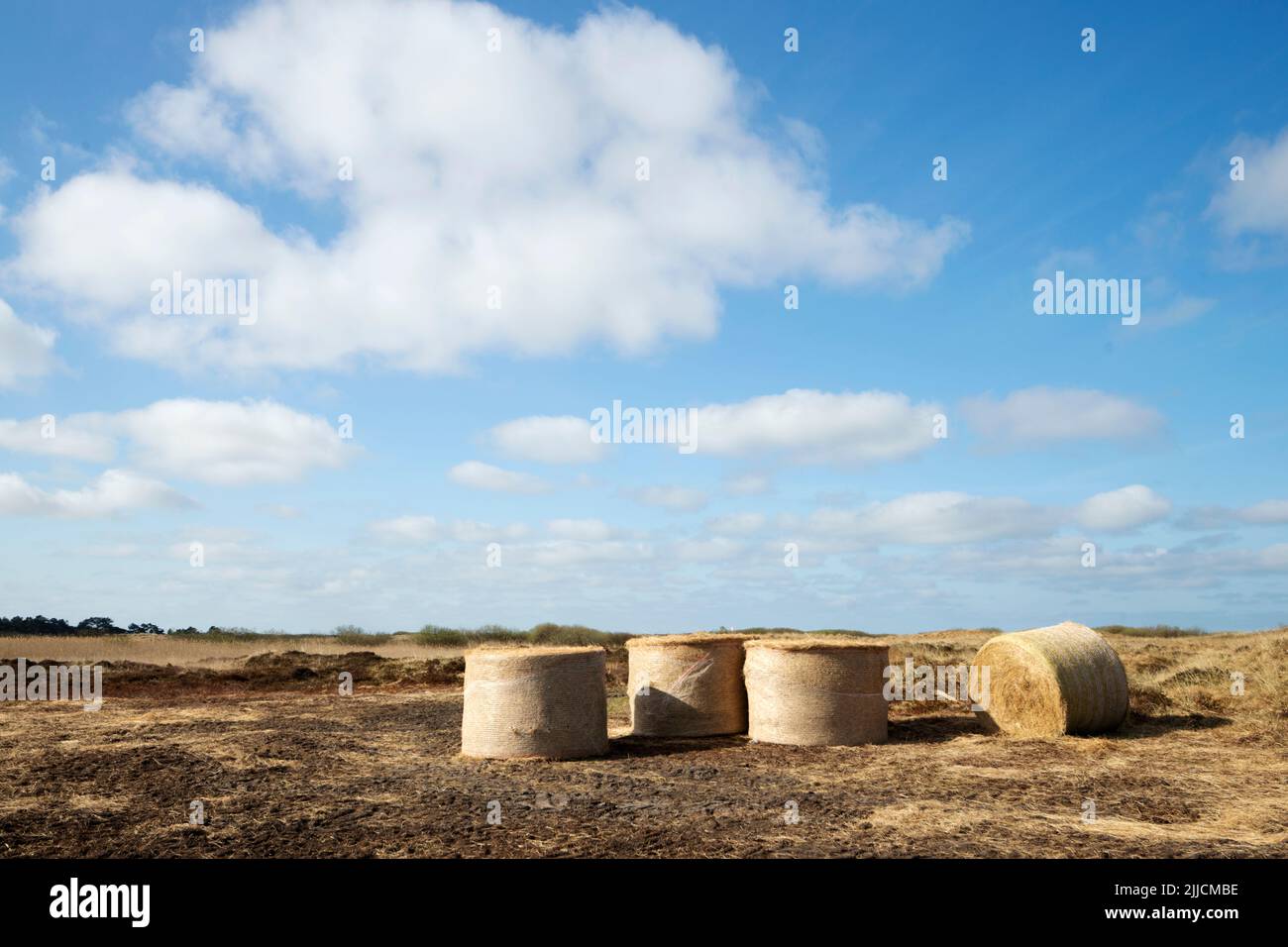Straw rolls on a meadow Stock Photo