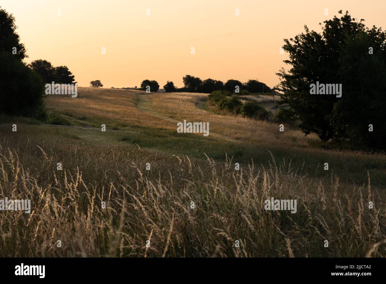 Open grassland on the Downs Stock Photo