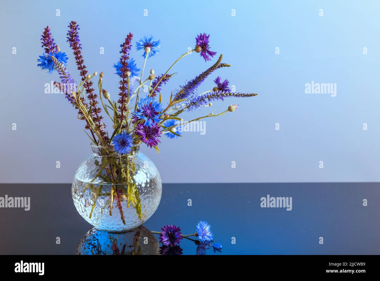 Minimalist photo of blue and purple cornflower flowers with wild herbs in bouquet on table on blue background Stock Photo