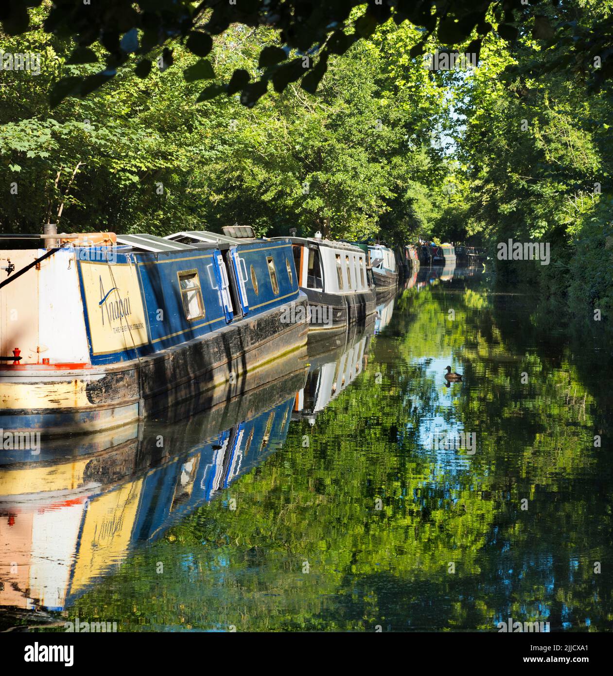 Puttering around on houseboats is a quintessentially English leisure tradition. Oxford's waterways, canals, streams and rivers are a source of many tr Stock Photo