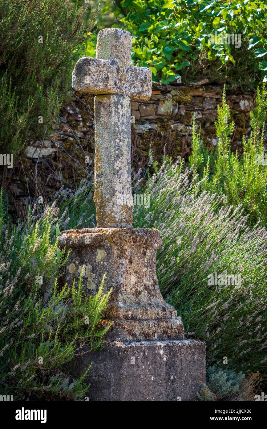 Long shot profile view of stone cross covered by bush Stock Photo