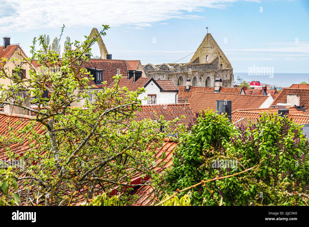 The ruins of St Katarina church in the Great Square (Stora Torget) seen over the rooves of the medieval town of Visby on the island of Gotland in the Stock Photo
