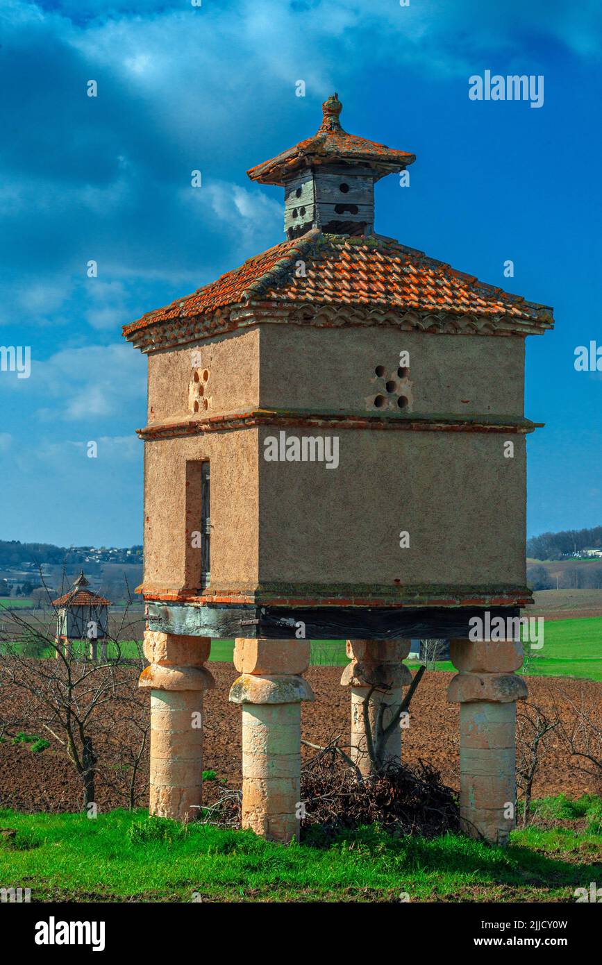 French pigeon houses (pigeonniers) in Cadalen, typical the Tarn region of southern France. Stock Photo