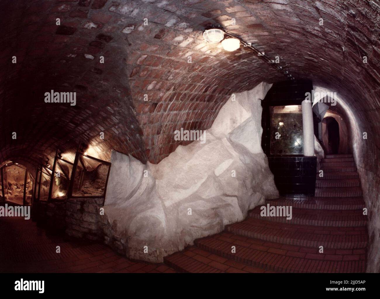 The Aquarium Terrarium in Pécs. The external and internal photos of the