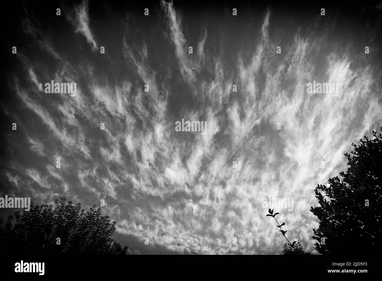 Black and White Image of Exceptional Display of Cirrus Cloud on an Early July Evening in UK Stock Photo