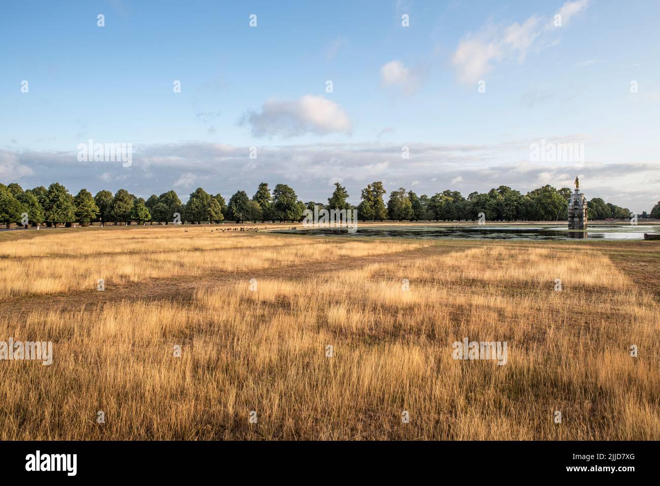Long dry grass at Diana fountain in Bushy Park Surrey UK Stock Photo