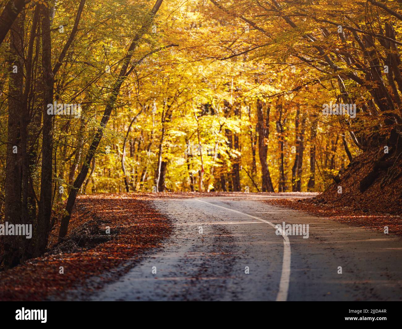 Travel, tourism, recreation concept in fall. Colorful landscape with ...