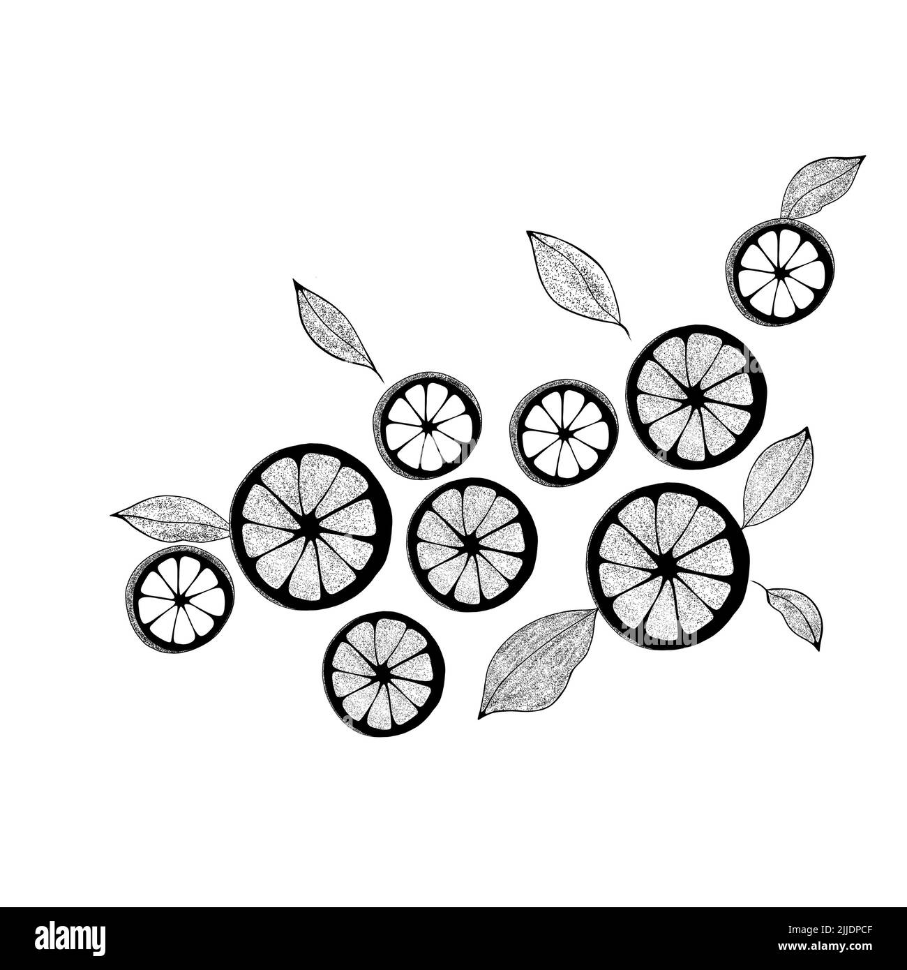 Citrus slice pattern Black and White Stock Photos & Images - Alamy