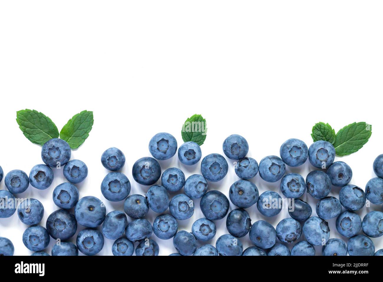 Fresh juicy blueberries with green leaves isolated on white background ...
